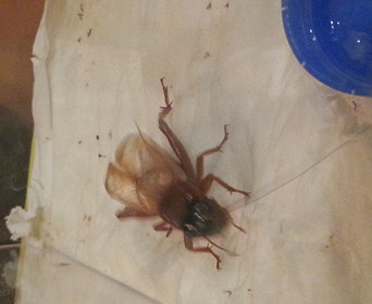 20130903_221205_副本.jpg