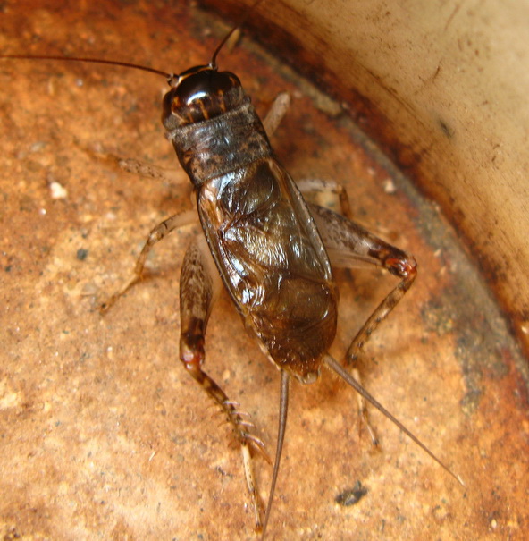 IMG_0721_调整大小.JPG