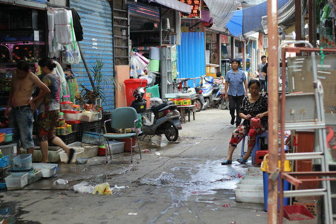 曹杨4.JPG