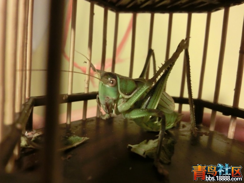 QQ图片20130906223614.jpg