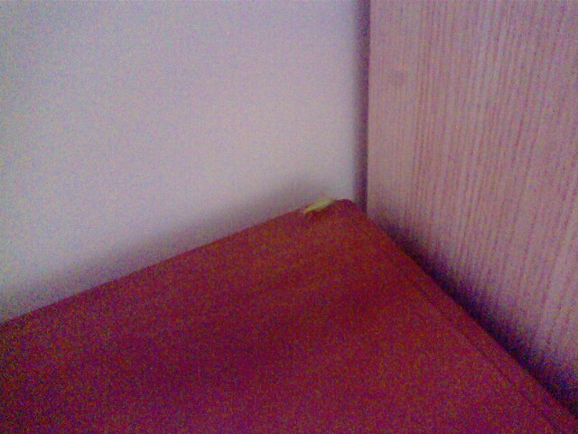 IMG0912A.jpg