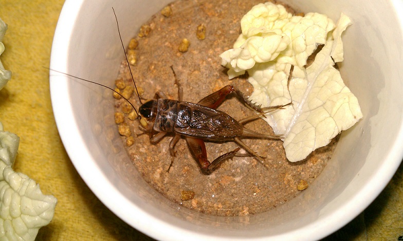 IMAG0445.jpg