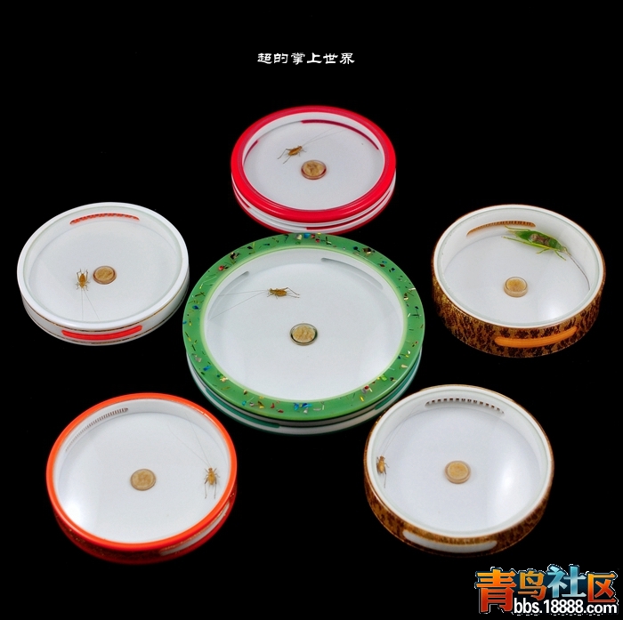 ZYB_3026_副本_副本.jpg