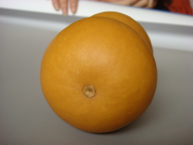 DSC04153.JPG