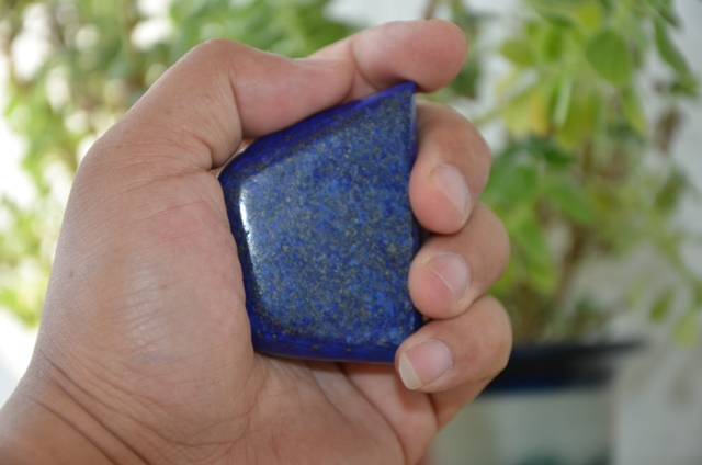 DSC_9963.jpg
