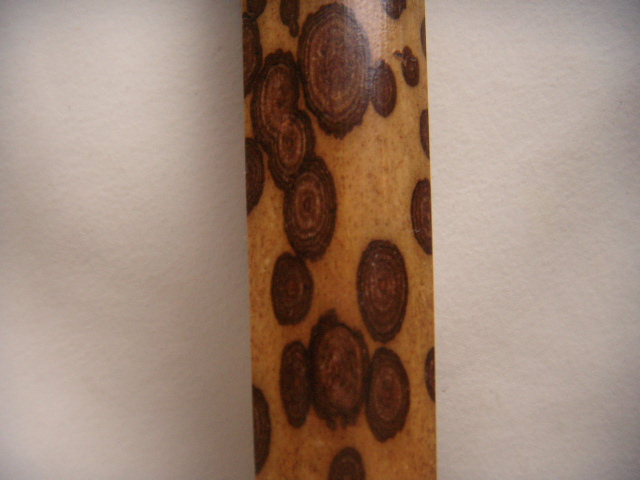 DSCN6082.JPG