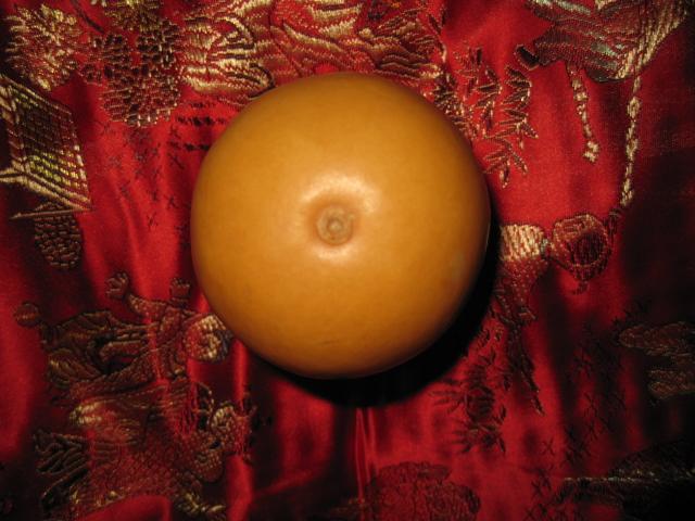 葫芦的照片 2007.jpg