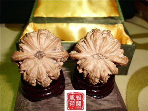 CIMG1289_副本.jpg