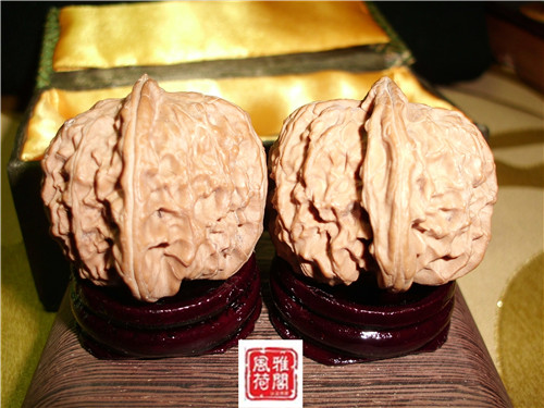 CIMG1317_副本.jpg