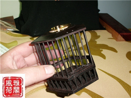CIMG1127_副本.jpg