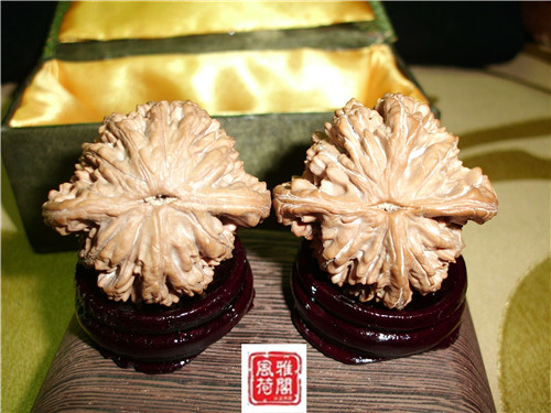 CIMG1364_副本.jpg