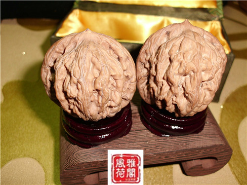 CIMG1262_副本.jpg