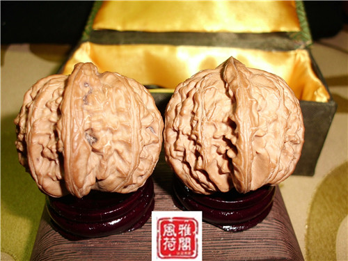 CIMG1290_副本.jpg