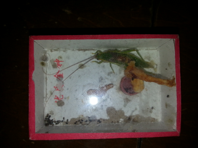 20130927_230051.jpg