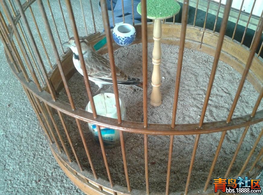 QQ截图20130930221300.jpg