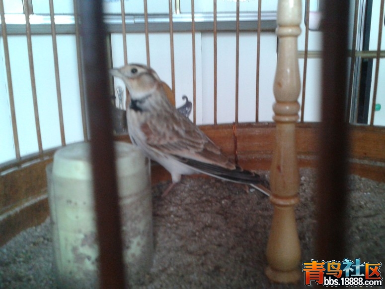 QQ截图20130930221327.jpg