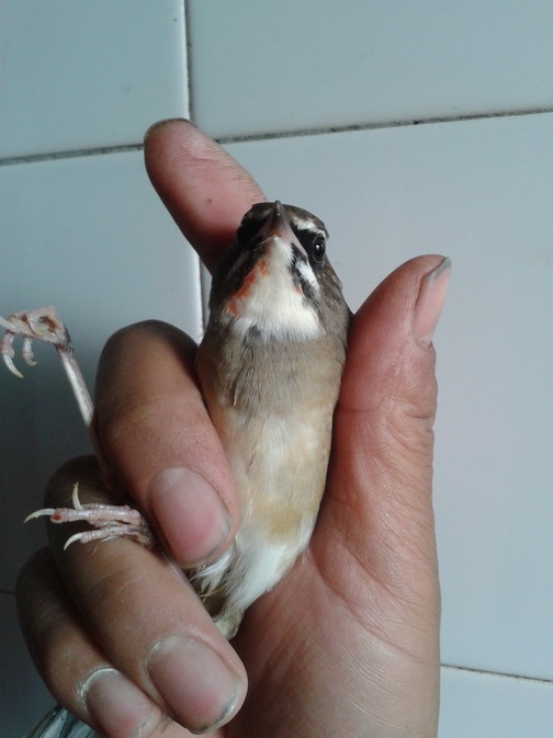 20130930_144246_调整大小.jpg