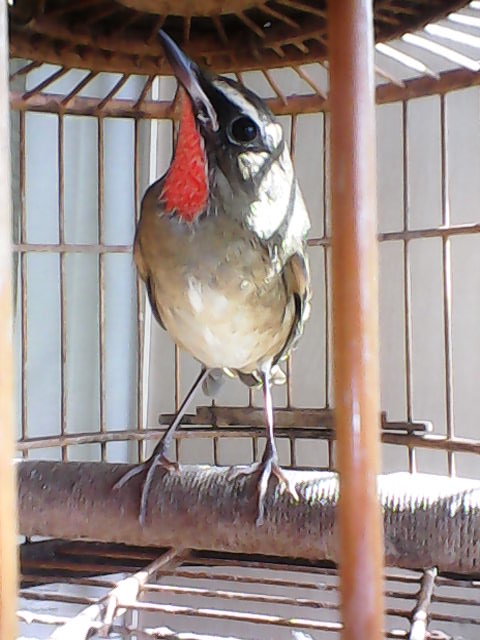 IMG_20130917_092034.jpg
