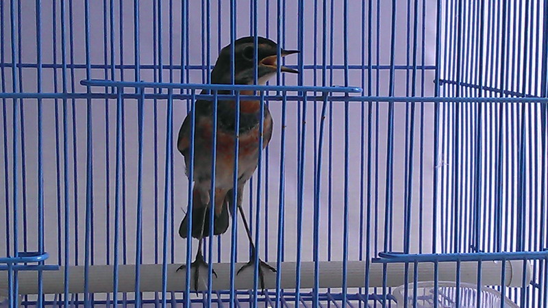 IMAG0626.jpg