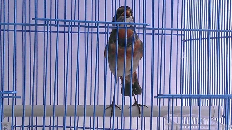 IMAG0627.jpg