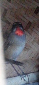 D[ELBHWP(AAKWERE6Y]O721.jpg