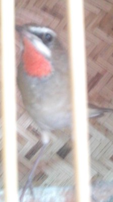 P``V}{5O5%~(0VG1I()GYZ9.jpg