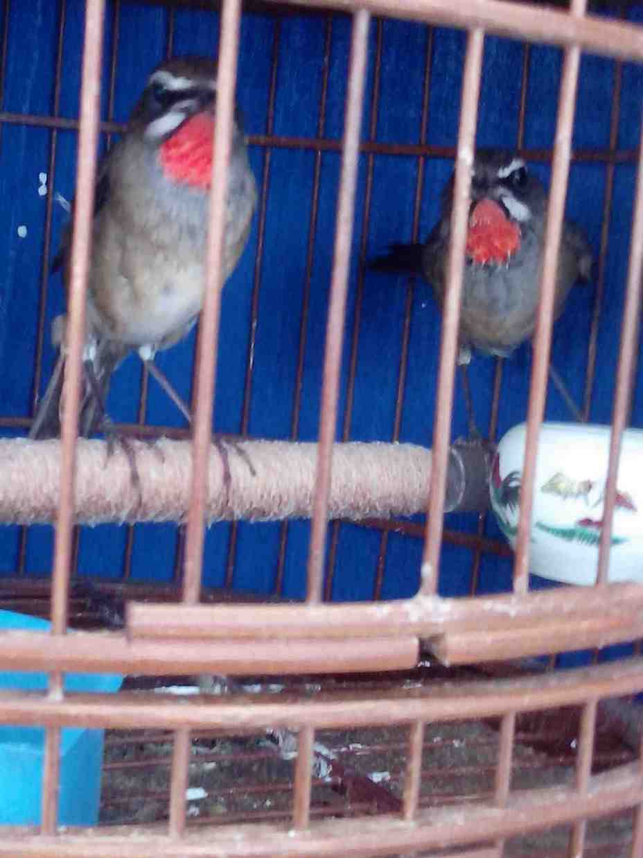 IMG20130916008.jpg