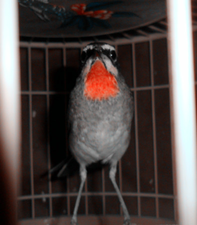 SAM_3146_副本.jpg