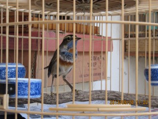 IMG_4213.jpg