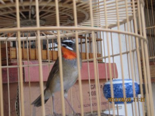 IMG_4207.jpg