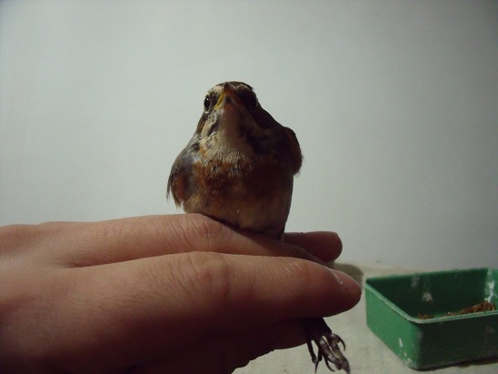 DSCF5677.JPG