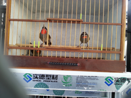 20130926_074225.jpg