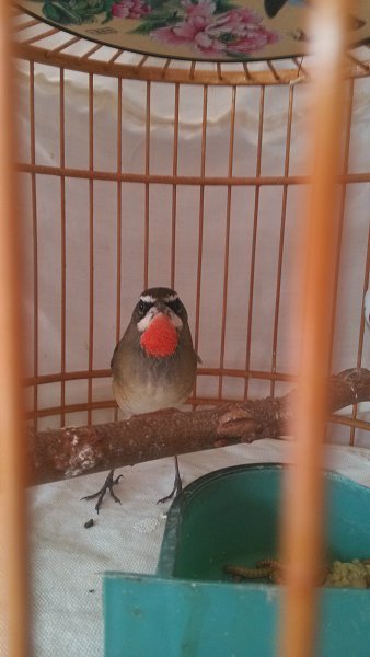 IMG_20130921_120809.jpg