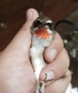 QQ图片20130920203041.jpg