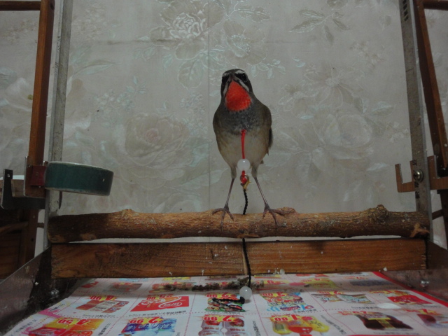DSC05140.JPG