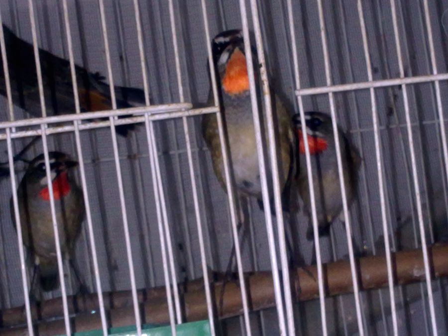 20130917093_副本.jpg