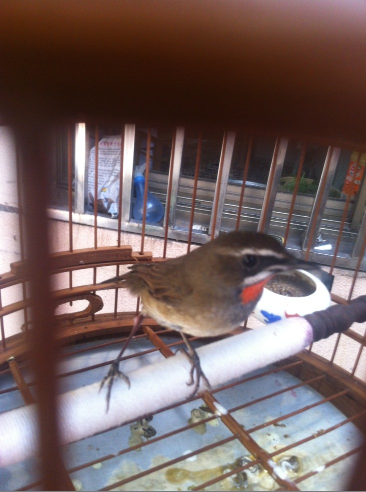 QQ图片20130916191829.jpg