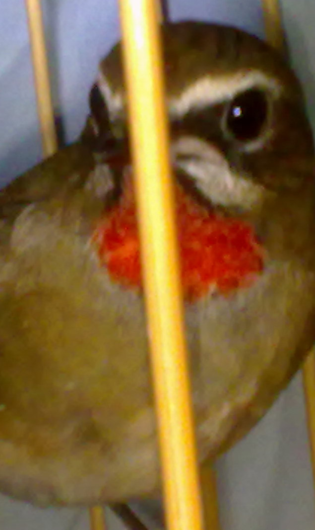 20130918553.jpg