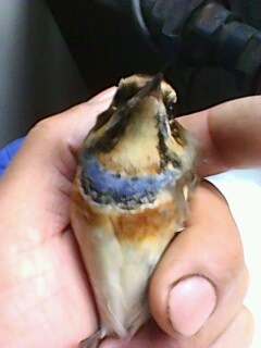 IMG0063A.jpg