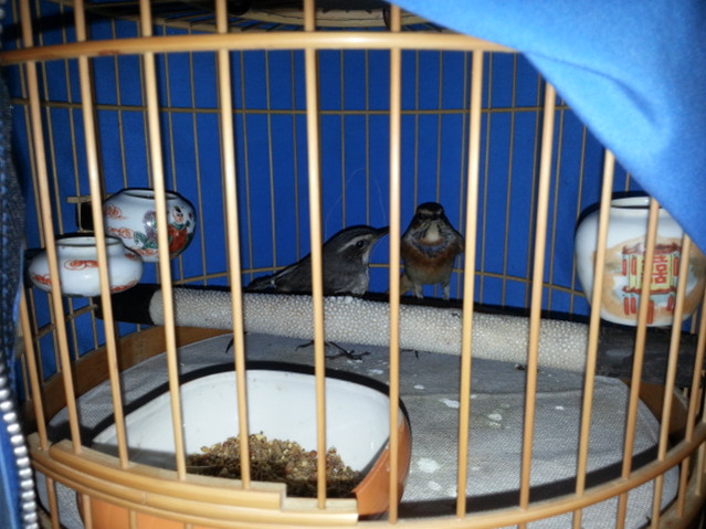 20130927_190538.jpg