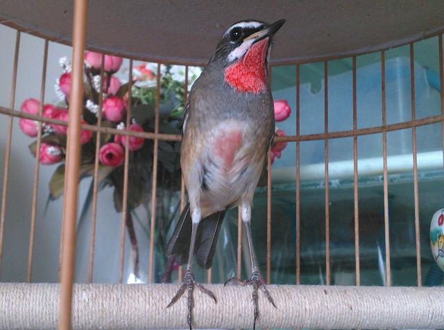 QQ图片20130817124758.jpg