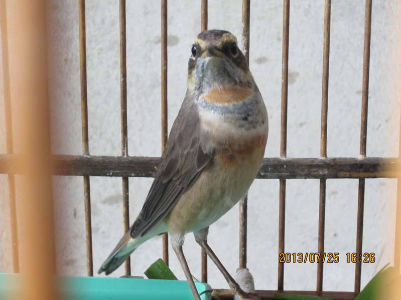 IMG_0057_缩小大小.jpg