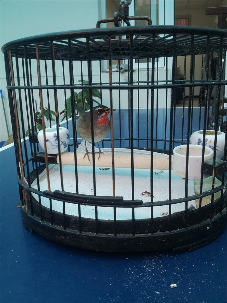 20130929_155034.jpg
