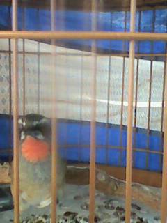 IMG0083A.jpg