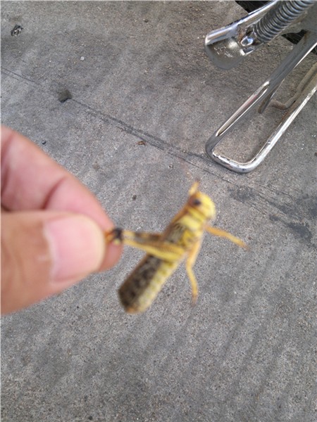 20130925829_副本.jpg