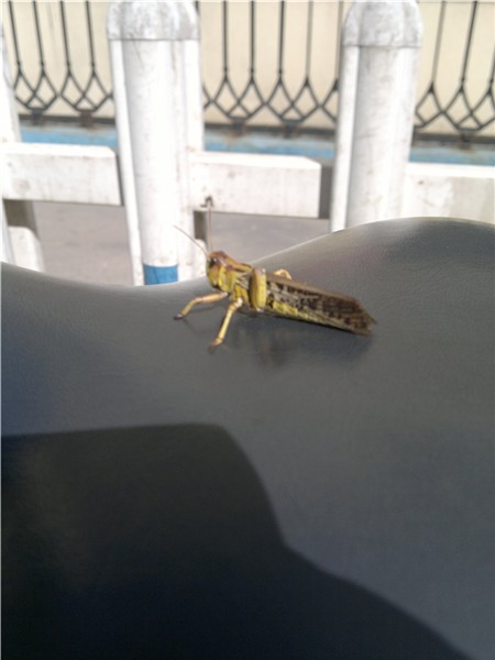 20130925835_副本.jpg
