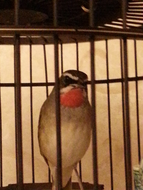 20130921_205336_副本.jpg