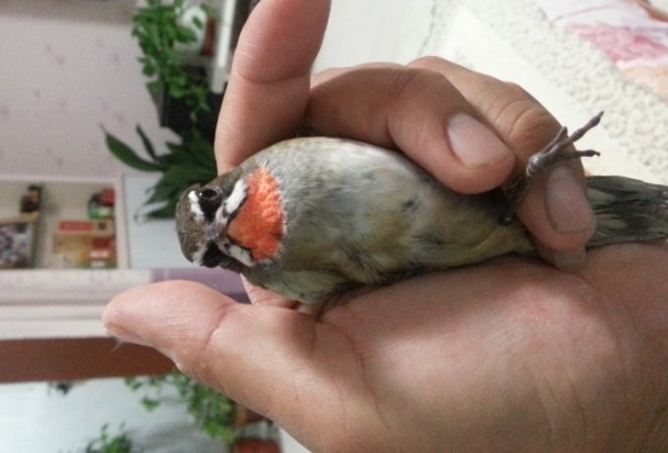QQ图片20130928184812.jpg