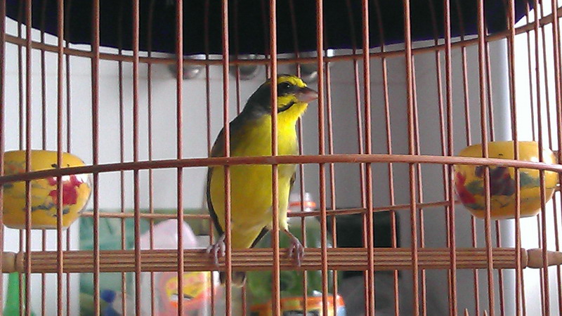 IMAG0562.jpg