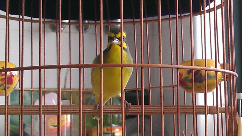 IMAG0580.jpg